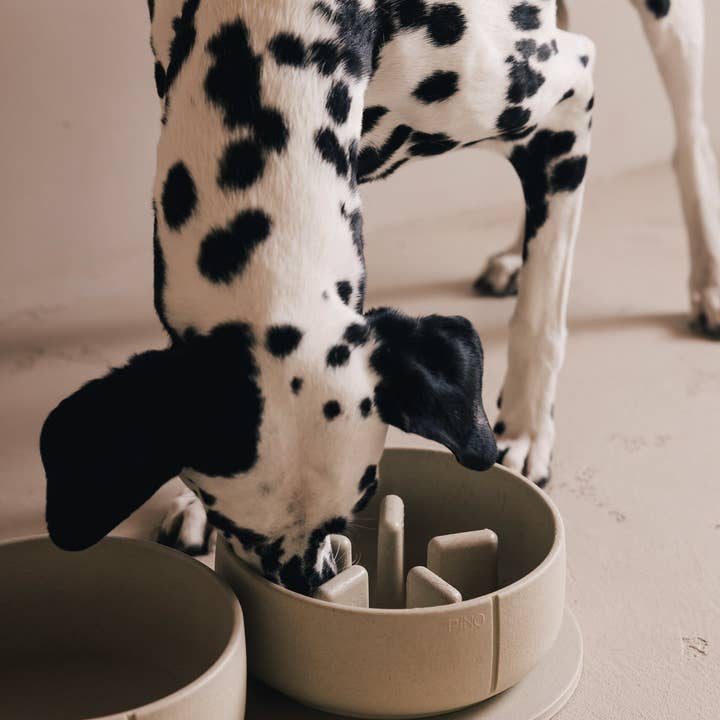 PINO - Wholesale Pet Bowl - Dog - Slow Feeder Bowl12