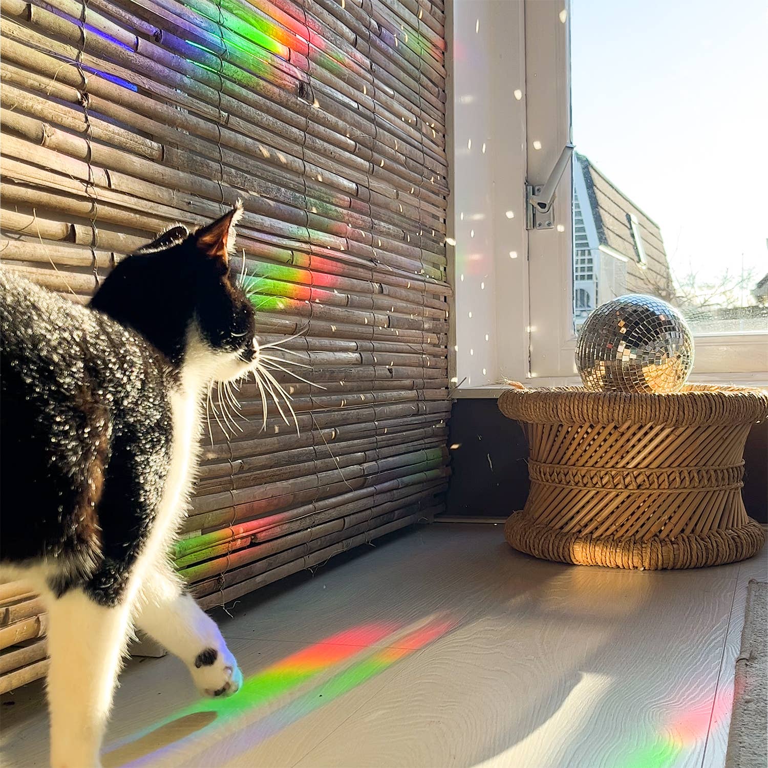 Botanopia - gifts , decor and cards for plant lovers - Wholesale Suncatcher - Rainbow maker sticker - You are loved8