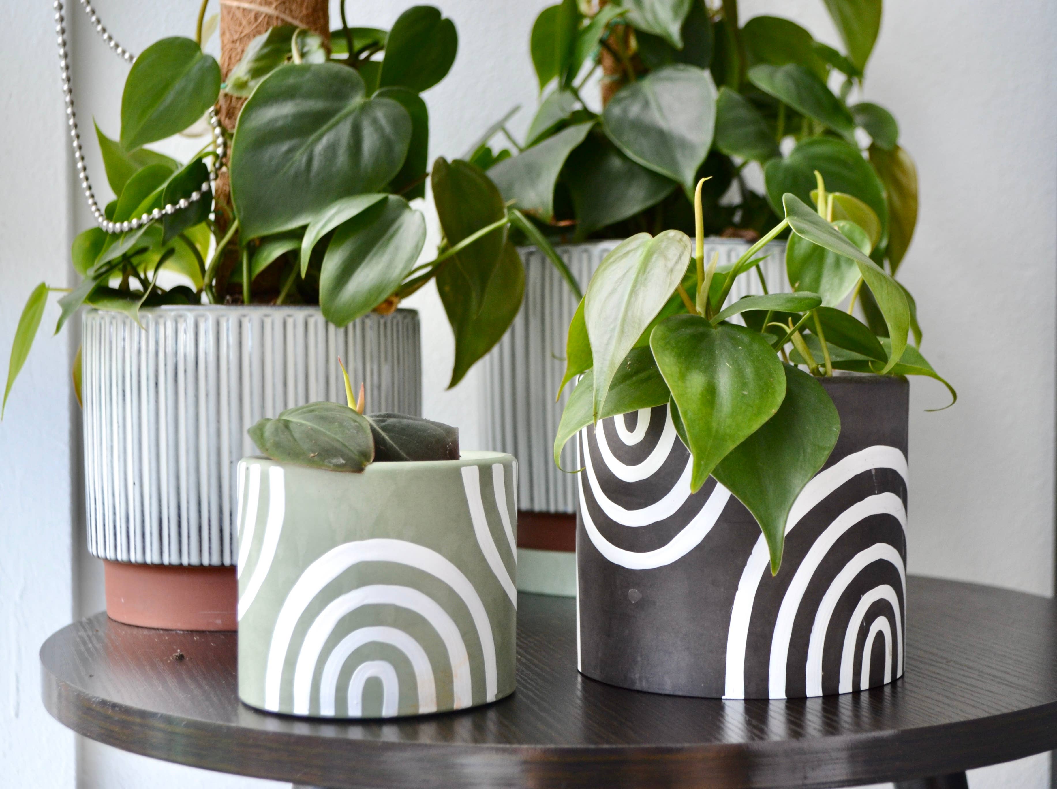 LindaMakess - Vendita all'ingrosso Vasi per piante - Fioriera arcobaleno dipinta a mano | Più colori9