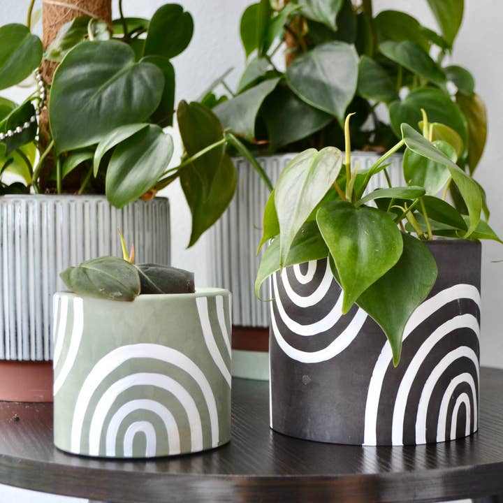 LindaMakess - Vendita all'ingrosso Vasi per piante - Fioriera arcobaleno dipinta a mano | Più colori9