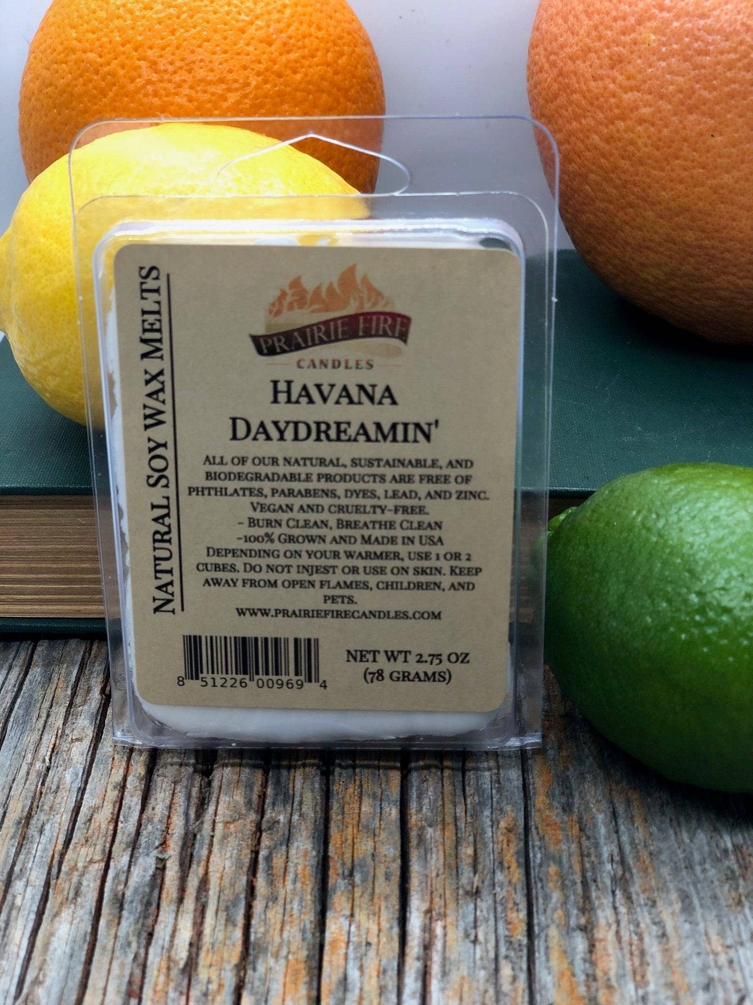 VIAI Beauty - Wholesale Wax Melt - PRAIRIE FIRE Soy Wax Melts | Wax Cubes | Wickless Candles | Small Batch | Vegan21