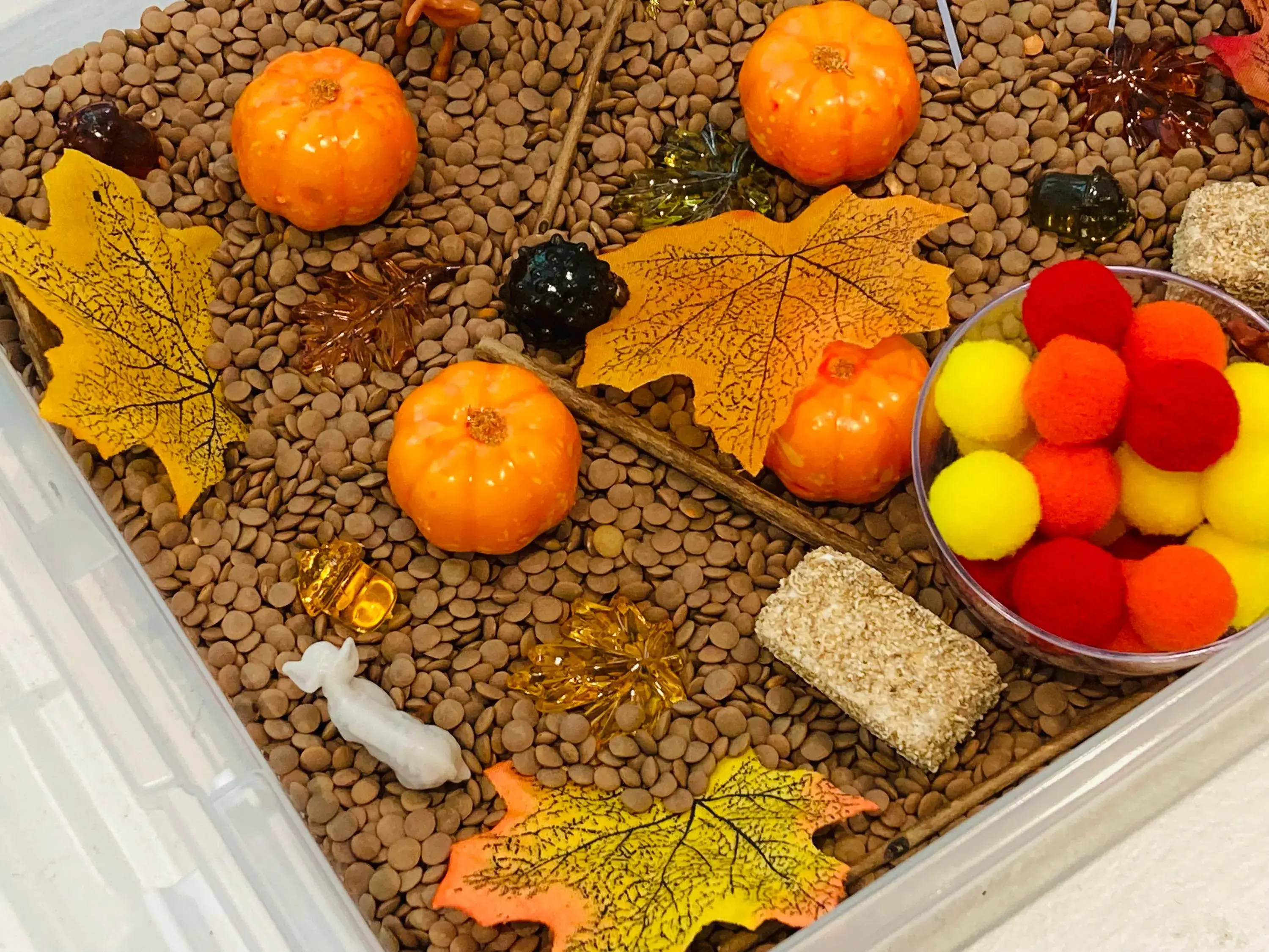 Curious Learning and Sensory – wholesale Toy set – Kids – Fall Pumpkin Patch Sensory Bin, Sensory Bins for Kids, Fall1