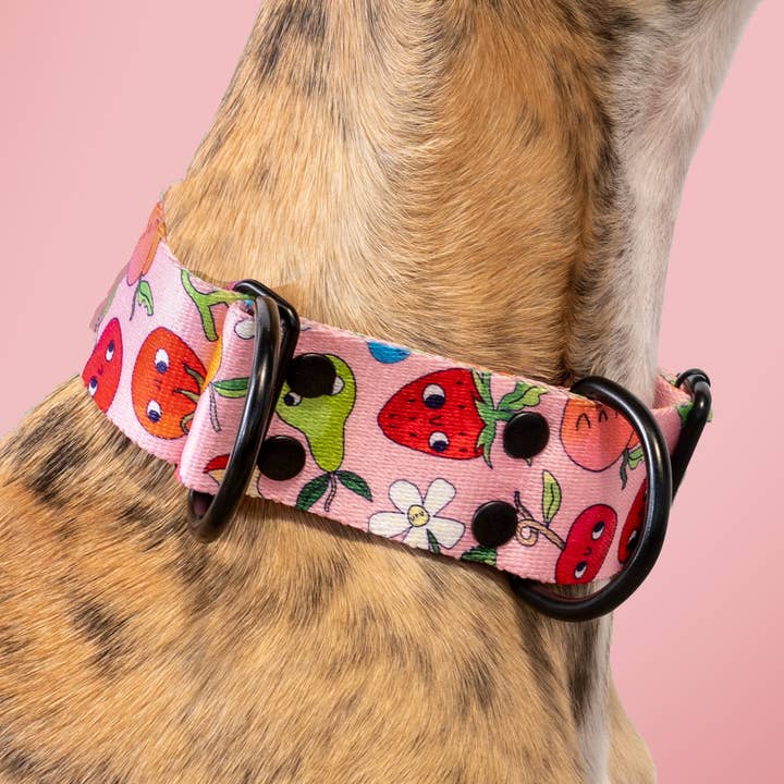 Sweet Tooth MARTINGALE HALSBAND för wholesale av Mind the Fluff