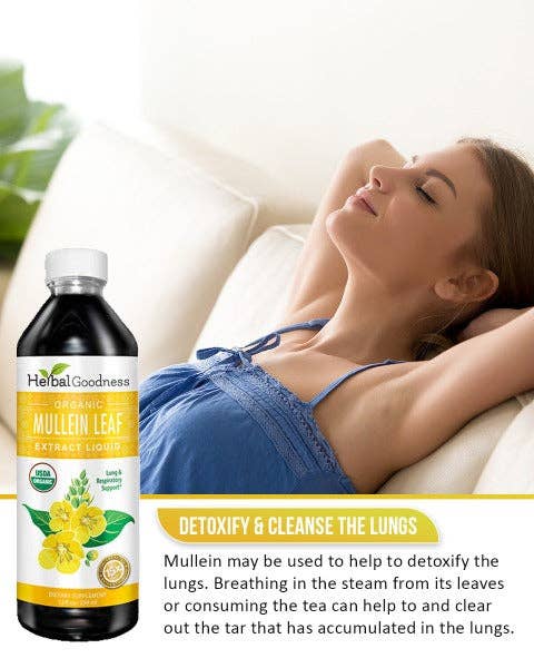 Herbal Goodness - Wholesale Loose Tea - Mullein Leaf Extract - Organic - Liquid 12oz - Lung & Respiratory Support - Herbal Goodness4