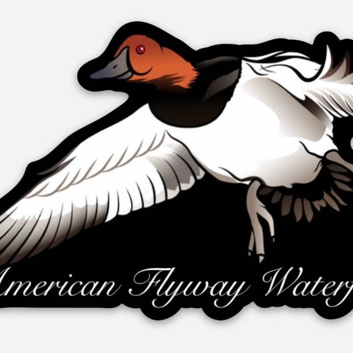 Canvasback Sticker for wholesale by American Flyway Waterfowl