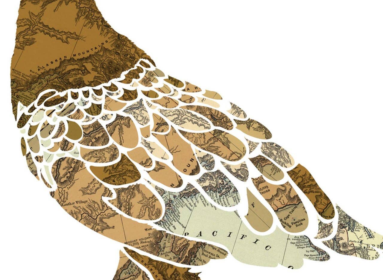 Wooden Pencil Company - Wholesale Art Print - Alaska State Bird, Map prints - Willow Ptarmigan4