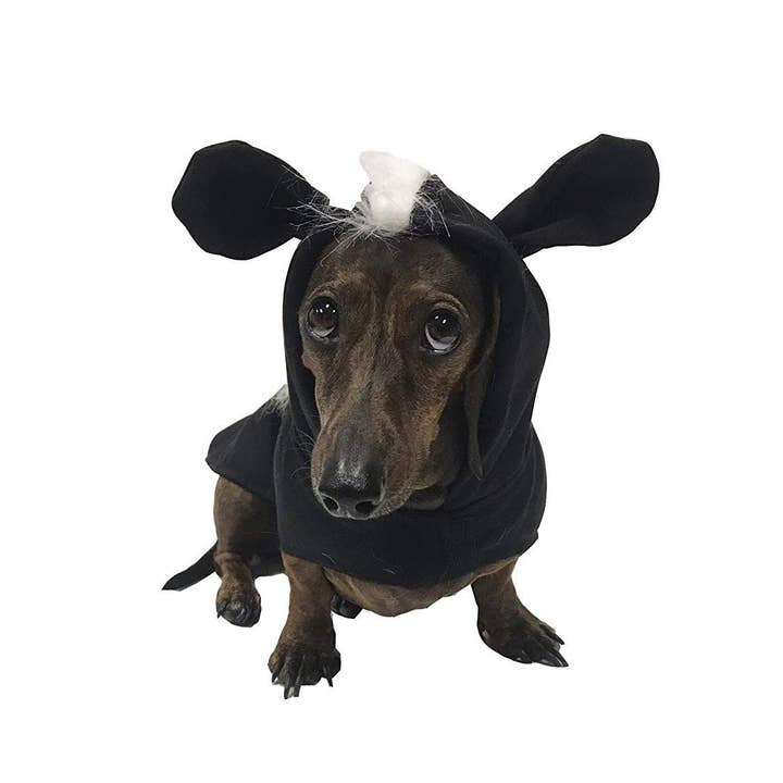 Midlee Designs - Wholesale Pet Costume - Dog - Midlee Skunk Dog Costume2