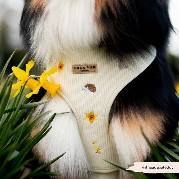 Cocopup London - Wholesale Pet Harness - Dog - Embroidered Woodland Walkies Adjustable Neck Harness15