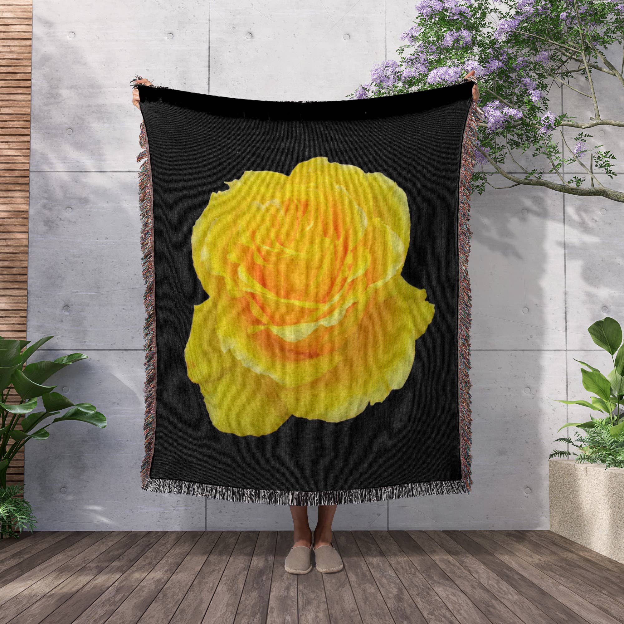 3dRose - Wholesale Throw Blanket - 3dRose, Yellow Rose Close up photograph ofyellow rose of texas isolated on black background, Blanket2