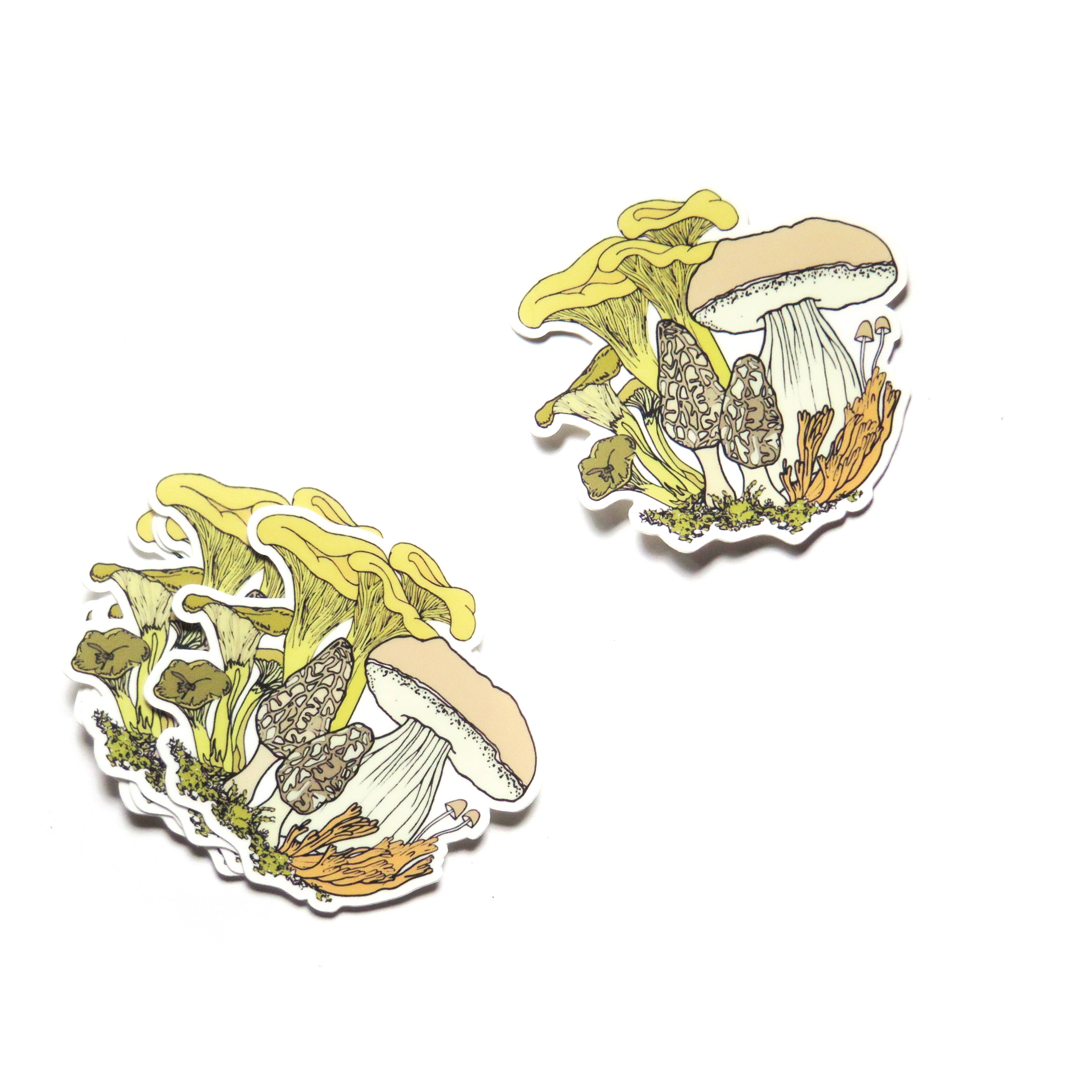Wild Life Illustration Co. - Wholesale Sticker - Chanterelle Mushroom Bunch Sticker1