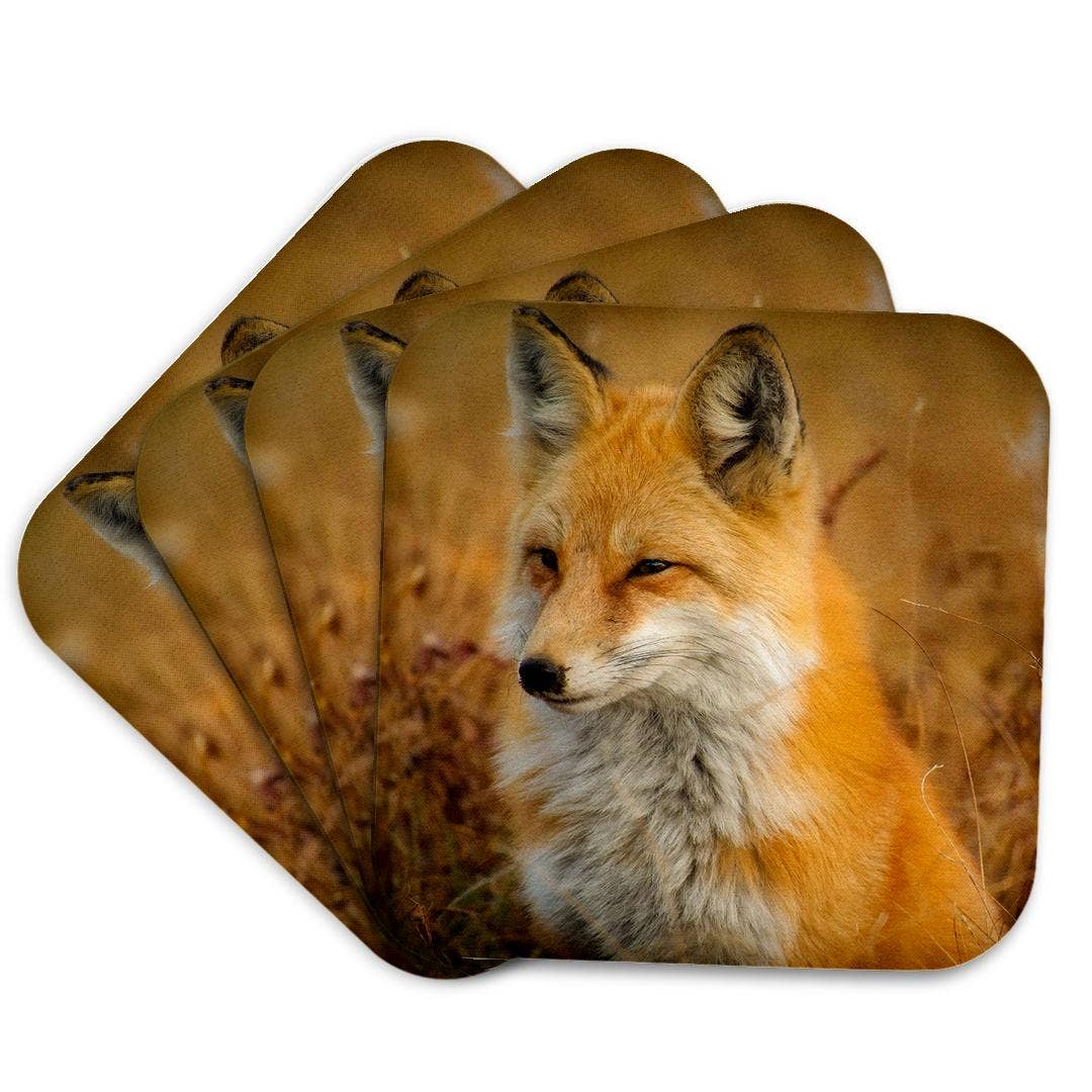 3dRose - Wholesale Coasters - 3dRose, Red Fox, Coaster7