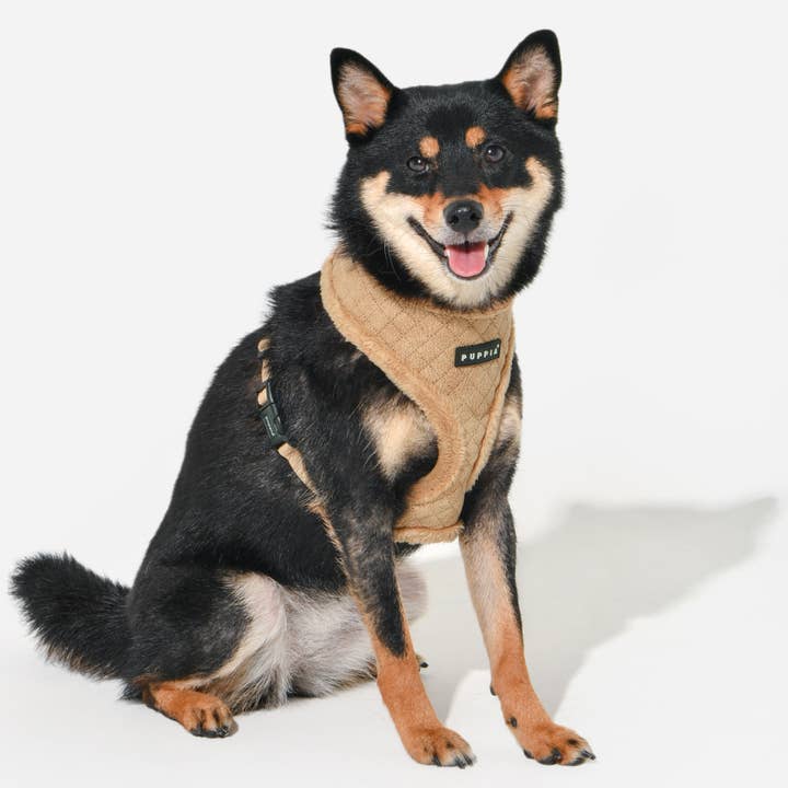 Puppia International Inc. - Wholesale Pet Harness - Dog - DOUGLAS DOG HARNESS OVER-THE-HEAD ADJUSTABLE FLEECE