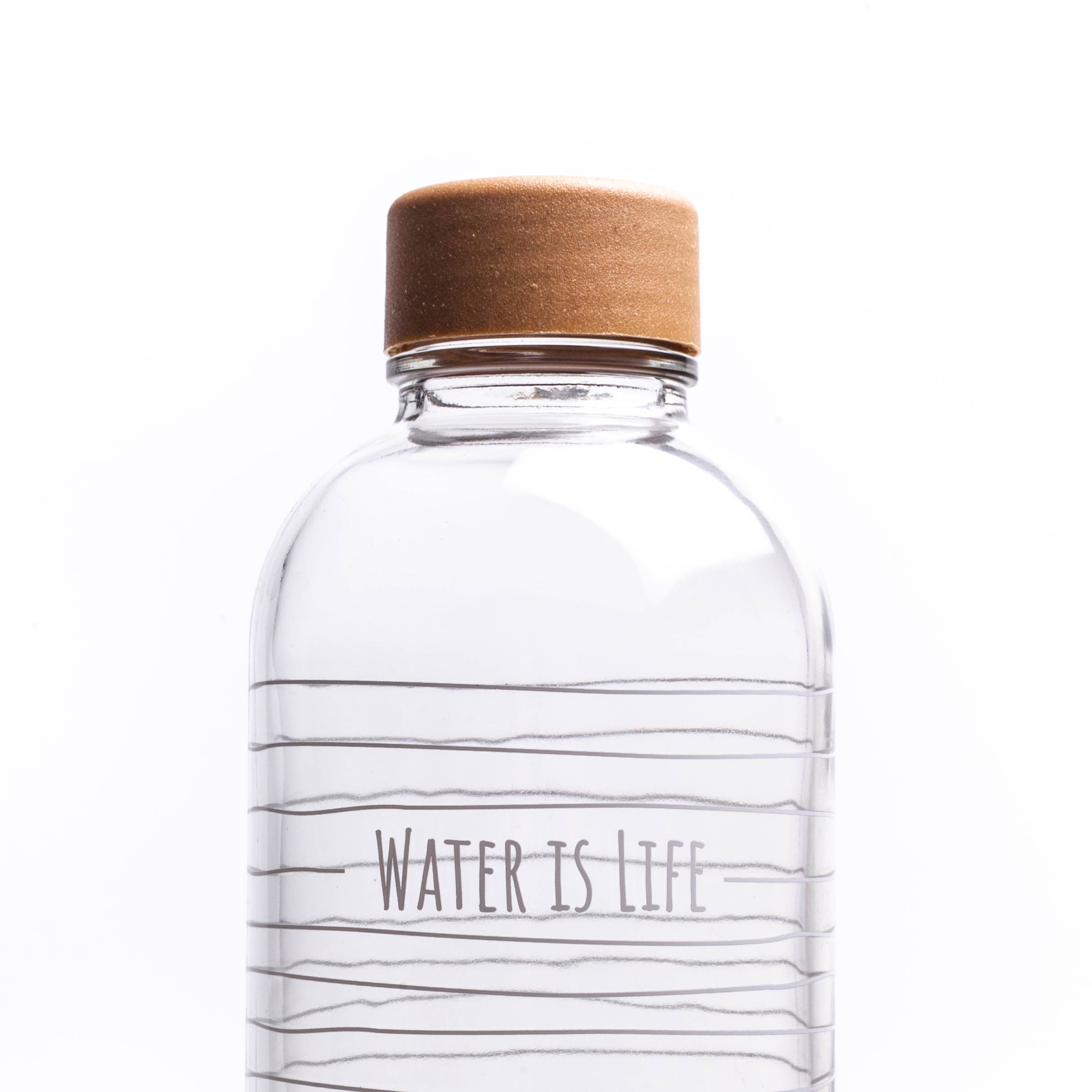 Carry Bottles - Wholesale Water Bottle - Glass water bottle - CARRY Bottle WATER IS LIFE 1.0l4
