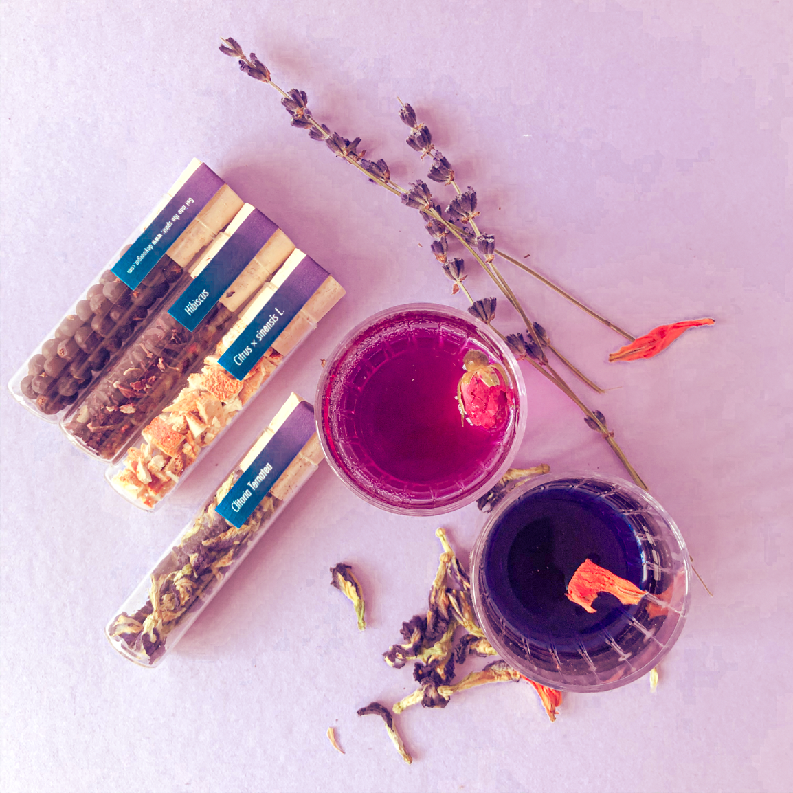 Craftly - Wholesale DIY Drink Kit - Gin Colour Changing Set - DIY Gin Making Set, Colored Cocktail Infusion Kit3