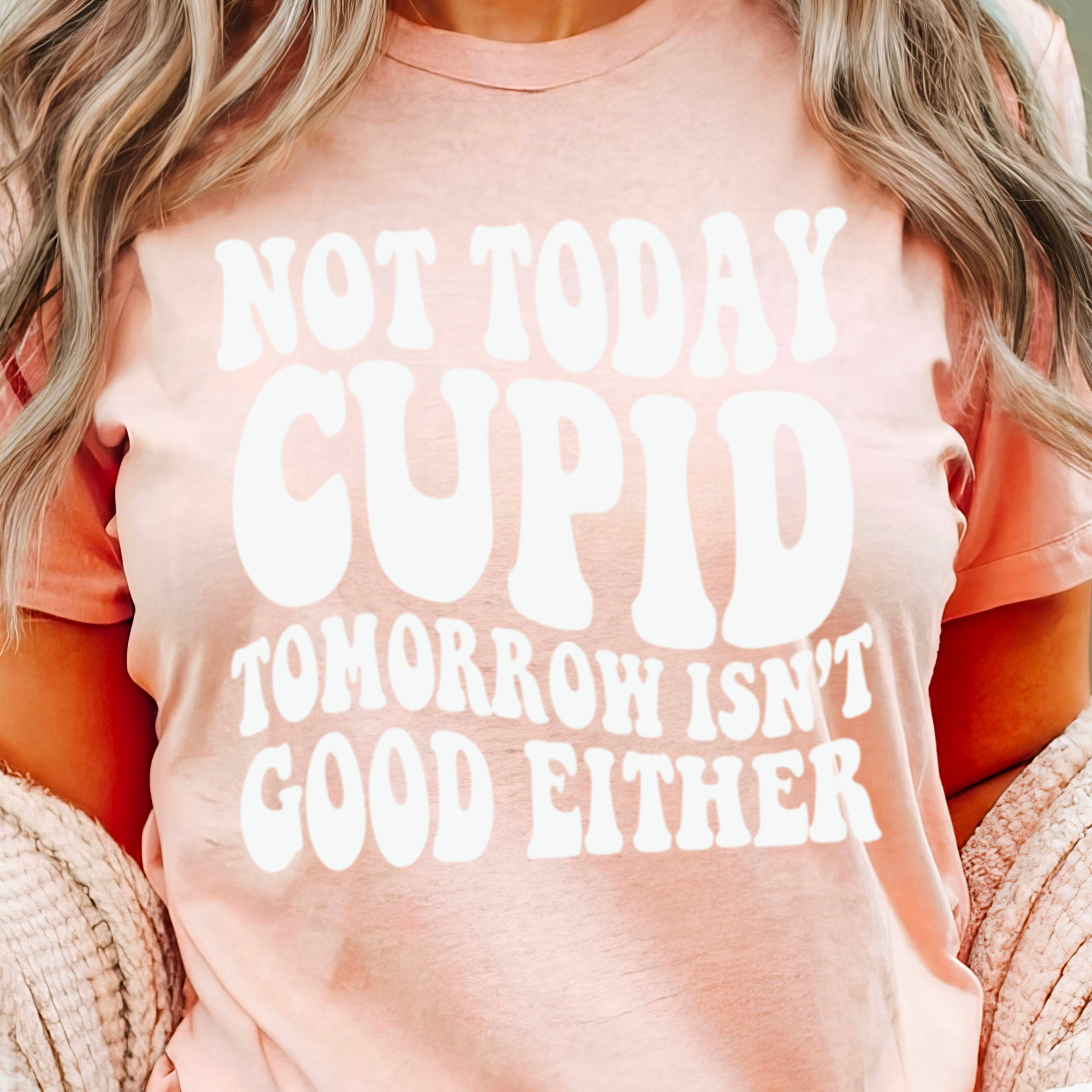 Shoppe SHC - Wholesale Screen Printed T-Shirt - Women's - Not Today Cupid Valentine's Day Graphic Tee | Bella Canvas 15