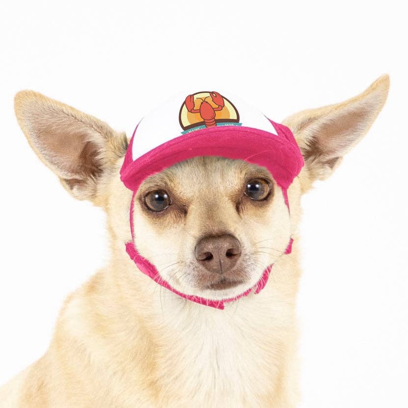 PupLid - Wholesale Pet Hat - Dog - Lobster Standard or Namedrop | Trucker Hat for Dogs17