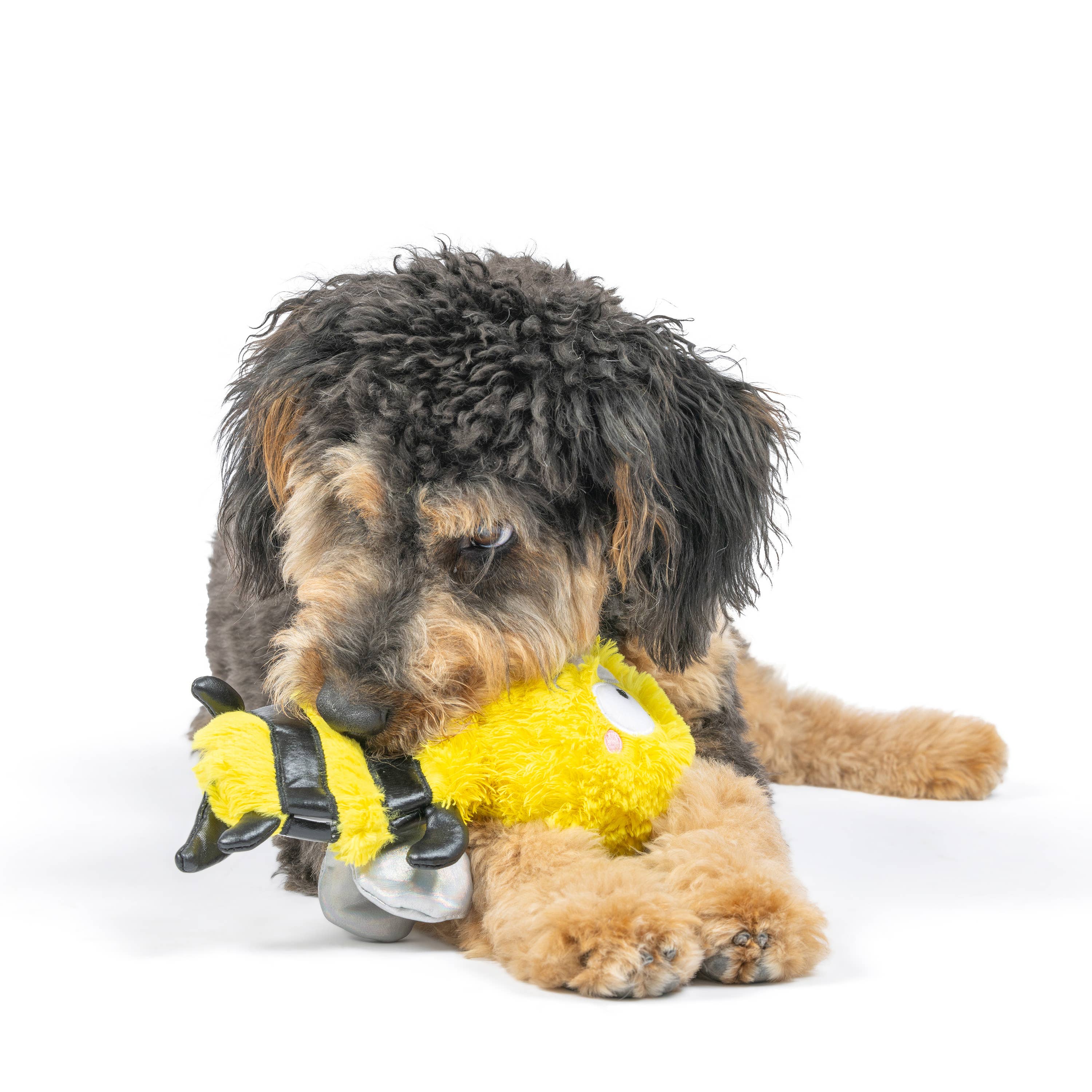 Huxley & Kent - Wholesale Pet Plush Toy - Dog - Slappies® Buzz Bee Dog Toy3