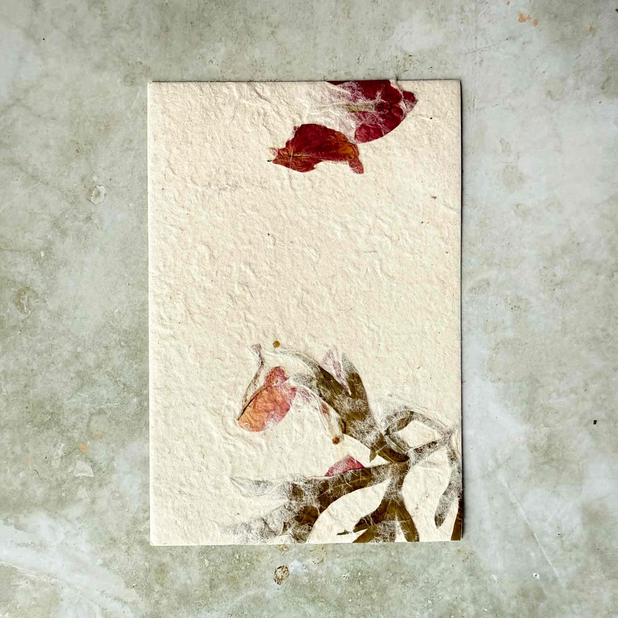 The Natural Paper Company – Conjunto de notas por atacado – Papel e Envelopes Artesanais de Lokta do Nepal - Artemísia & Buganvília3