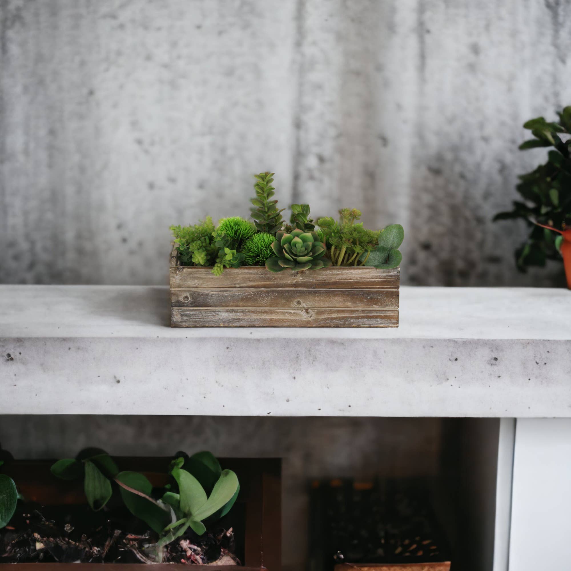 Cheungs Home Decor - Wholesale Planter Box - Celyn Wooden Ledge Planter1