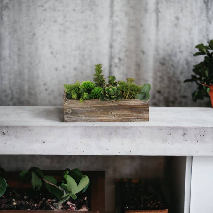 Cheungs Home Decor - Wholesale Planter Box - Celyn Wooden Ledge Planter1