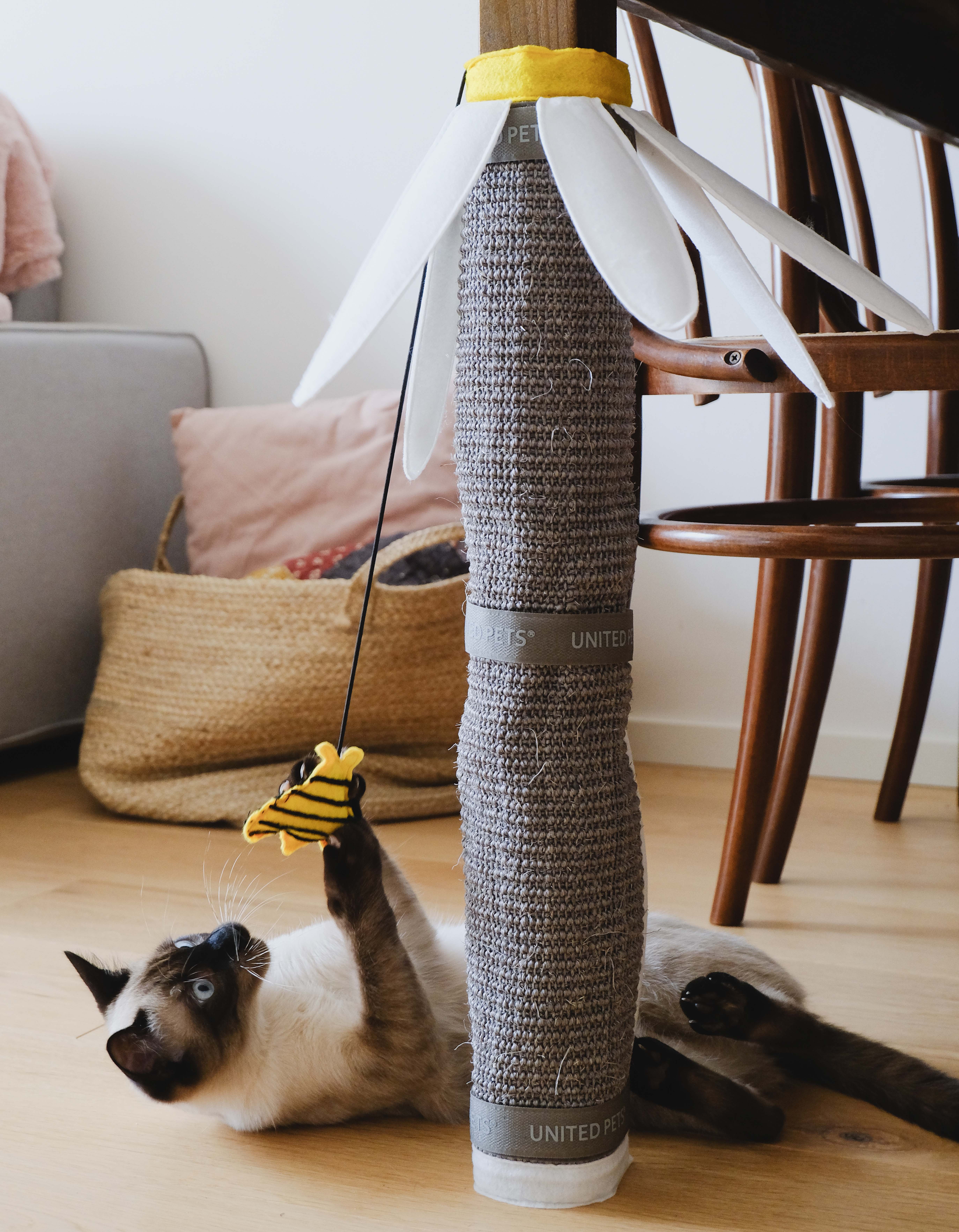 United Pets - Wholesale Pet Scratcher - Cat - Daisy-shaped table leg scratcher for cats3