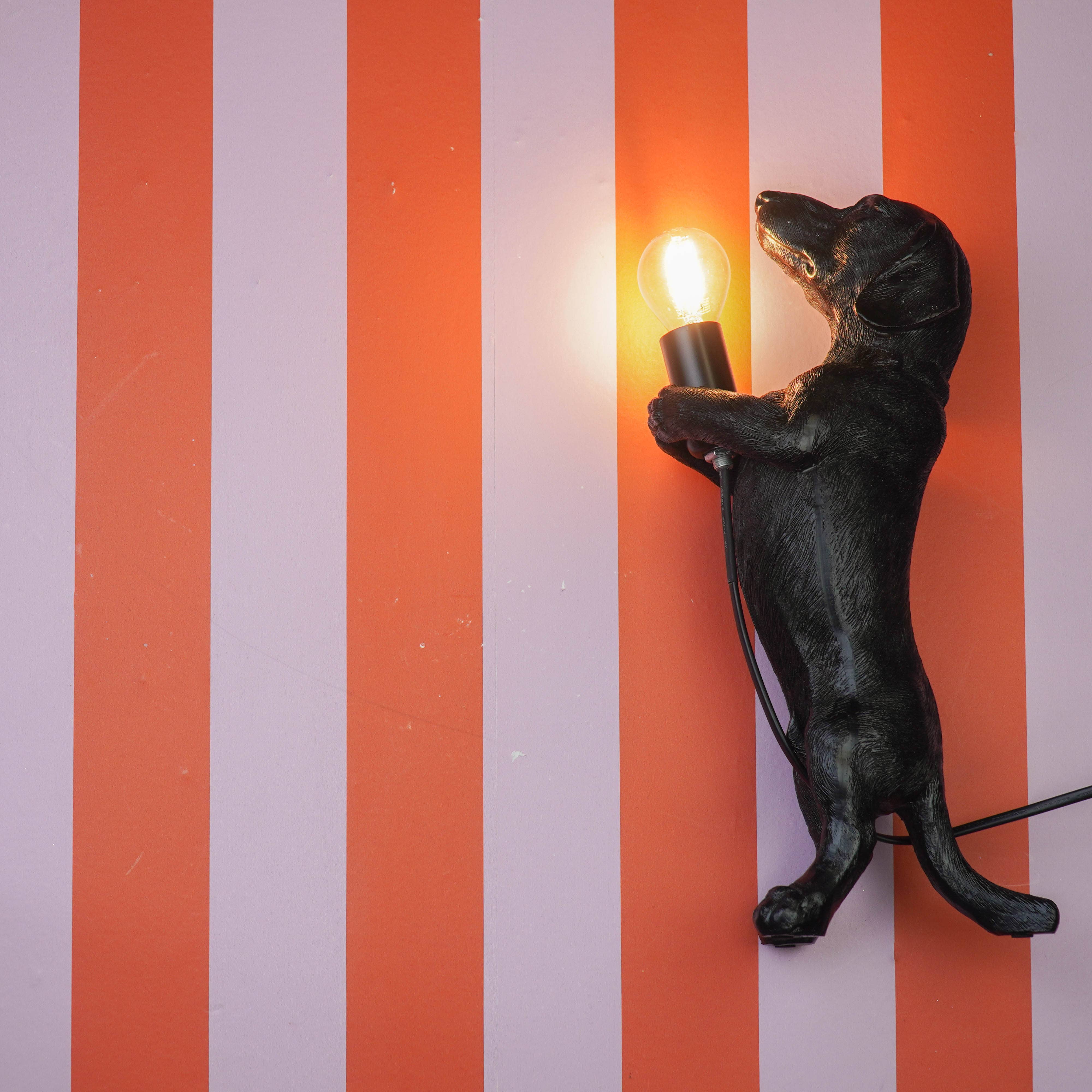 Noir Lampe de table - Lampe Teckel - Polyrésine - Noir - E14 - 10x15x38cm en vente sur Faire7