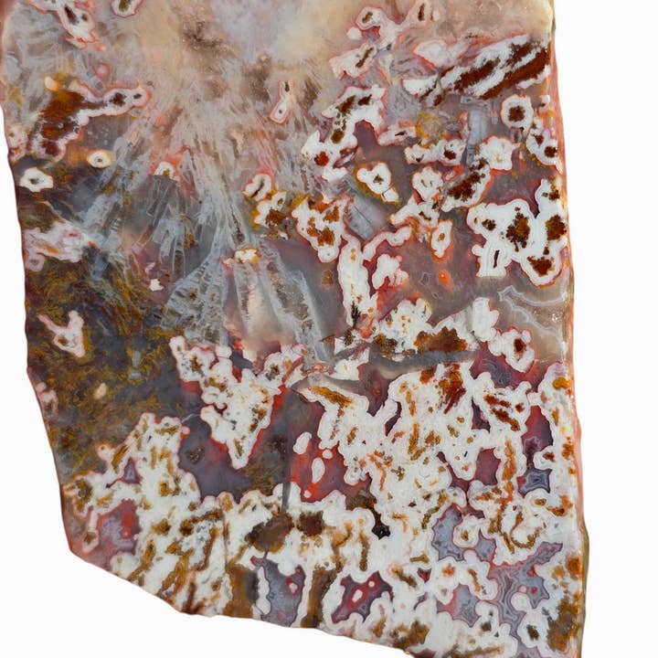 Lapidary Central - Wholesale Spiritual stone/crystal - Apple Valley Agate Slab Lapidary Stone Slice Cut Rock Jasp-Agate2