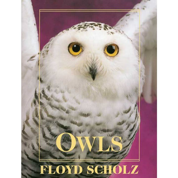 Owls by Floyd Scholz for wholesale by Simon & Schuster