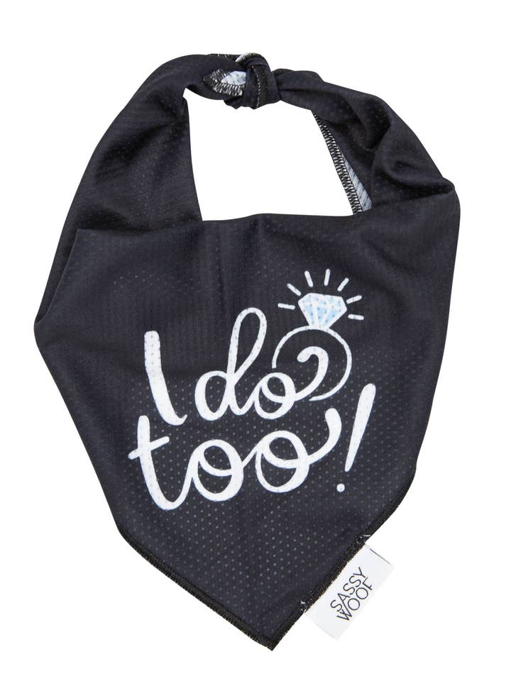 Dog Bandana - I Do Too and other Purchase Wholesale i do. Free Returns & Net 60 Terms on Faire trending on Faire.