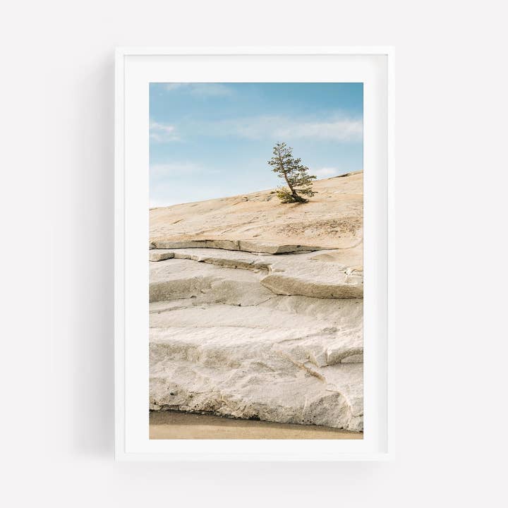 Nature and Form for wholesale by Annie Ambience