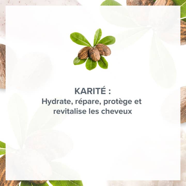 Evoluderm - Wholesale Hair Shampoo - Shea Delight Repairing Shampoo3