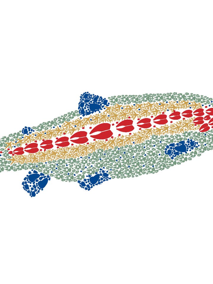 Trout Notes for wholesale by Bold Spark Design & Stationery