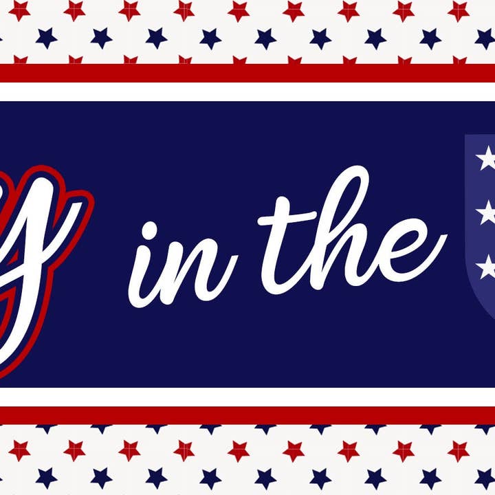 Banner de fiesta en EE. UU., paquete de 4 para venta al por mayor de Paper Dazzle