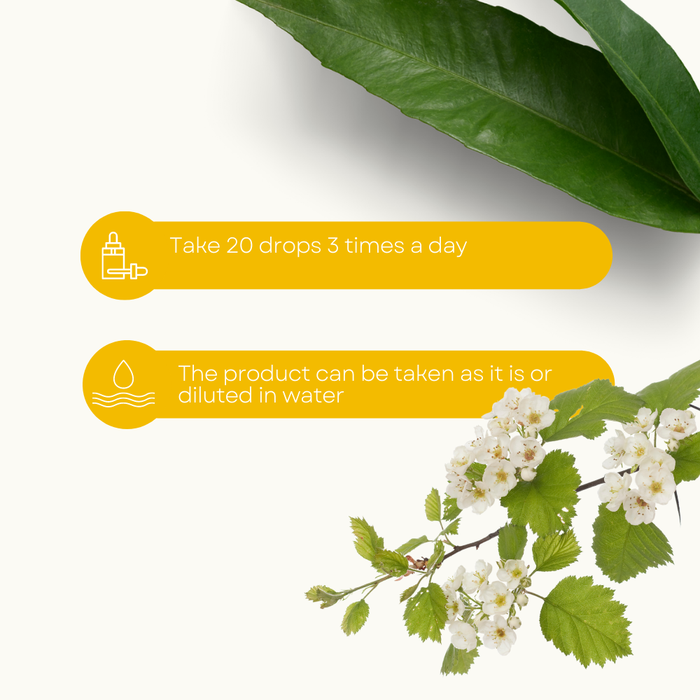 Lemuria – Suplemento/vitamina oral por atacado – Suplemento Extrato Total para Ansiedade - HAWTHORN 30ml3