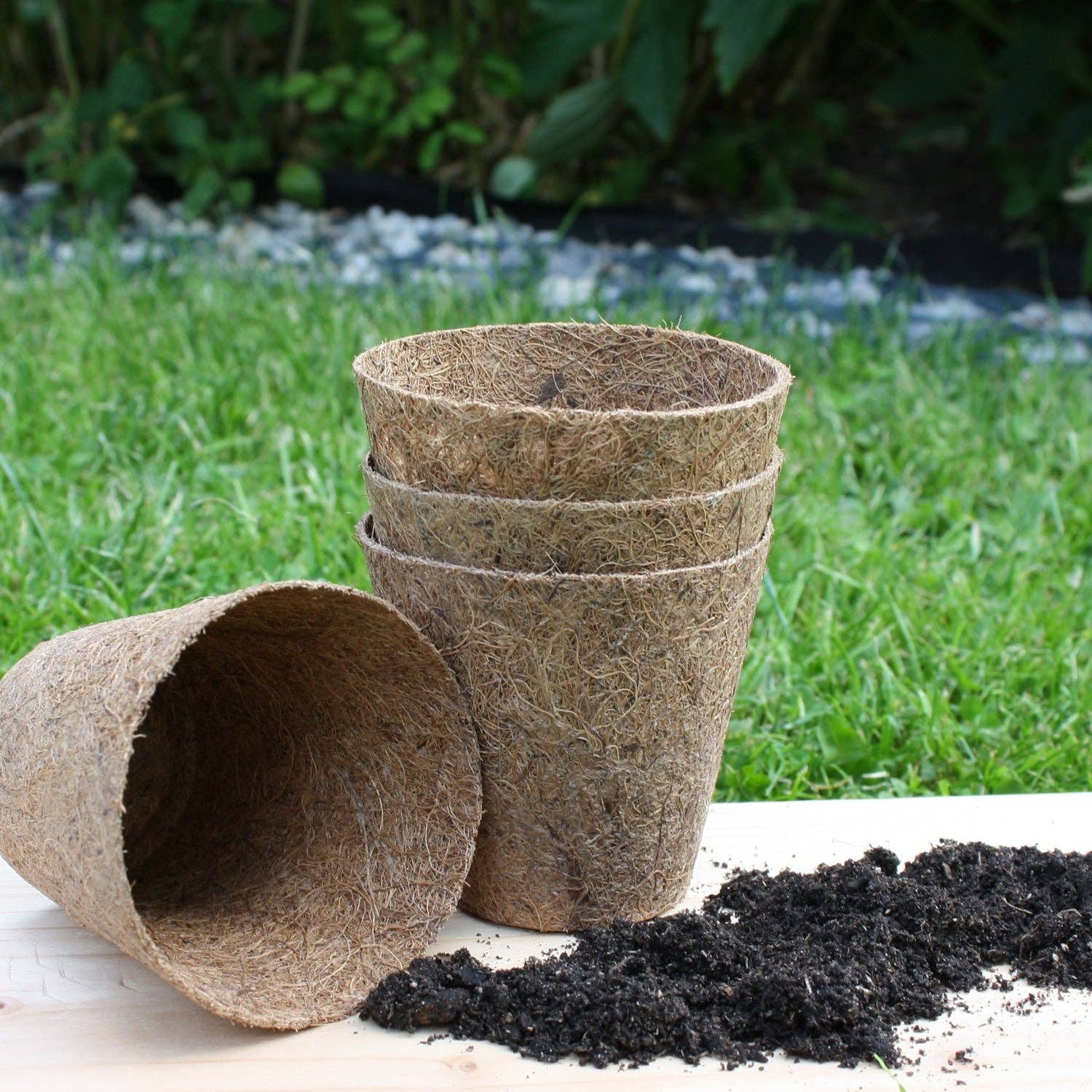 Wildlife World - Vente Pot - Pots de semis de coco caoutchoutés certifiés biologiques2