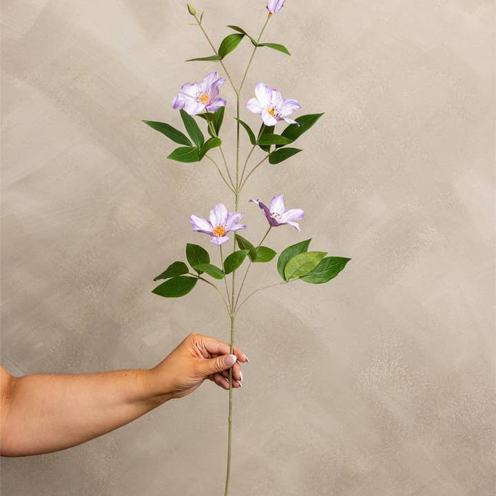 Stem - Clematis Lavender (PK/12) and other Purchase Wholesale lavender stems. Free Returns & Net 60 Terms on Faire trending on Faire.