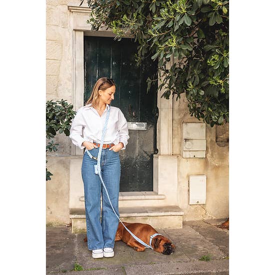 Pompon & Pets - Wholesale Pet Leash - Dog - Marguerite Multi-Position Deck Chair - Waterproof Fabric1