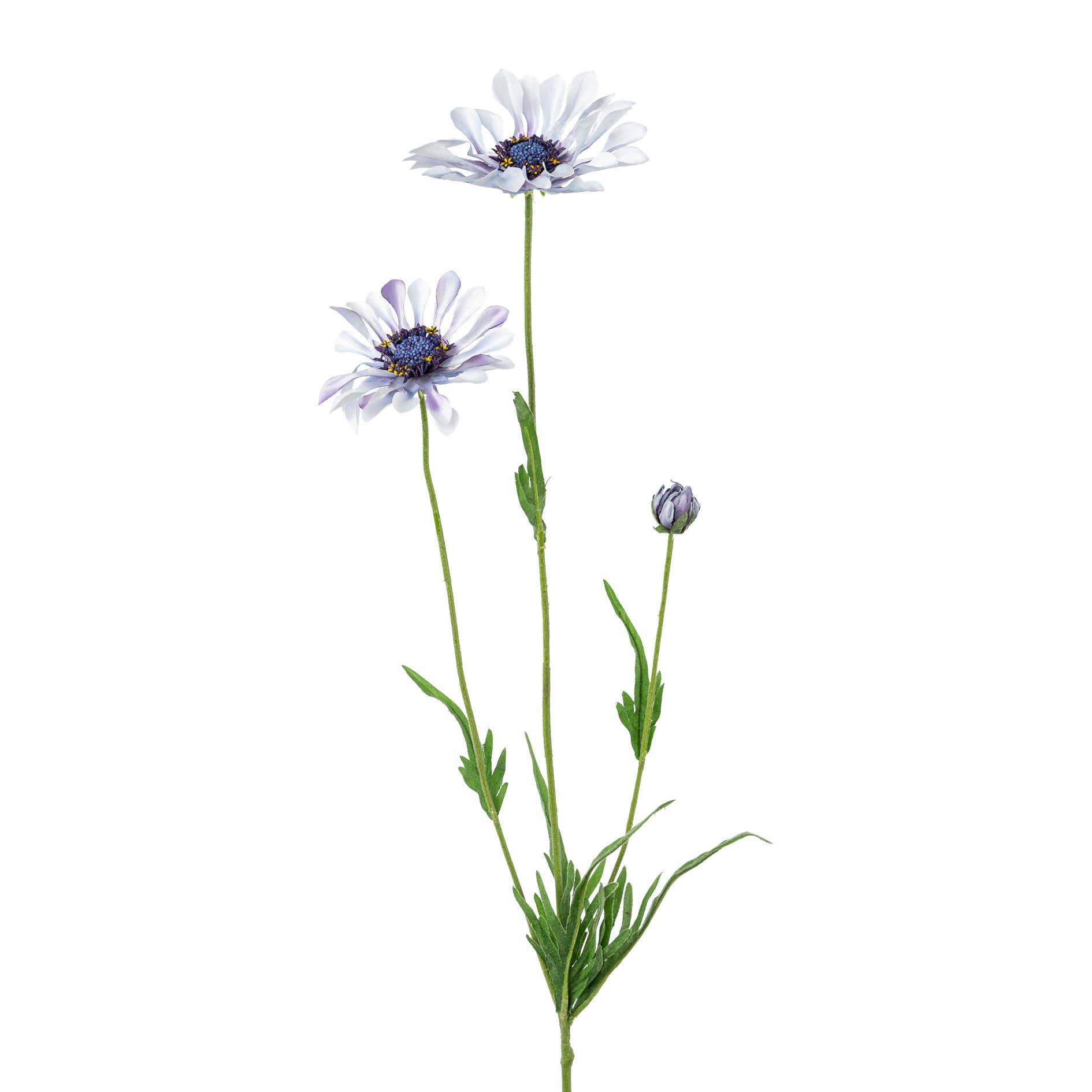 GASPER GmbH - Wholesale Artificial Flowers - Cape daisy, 66cm, light blue0