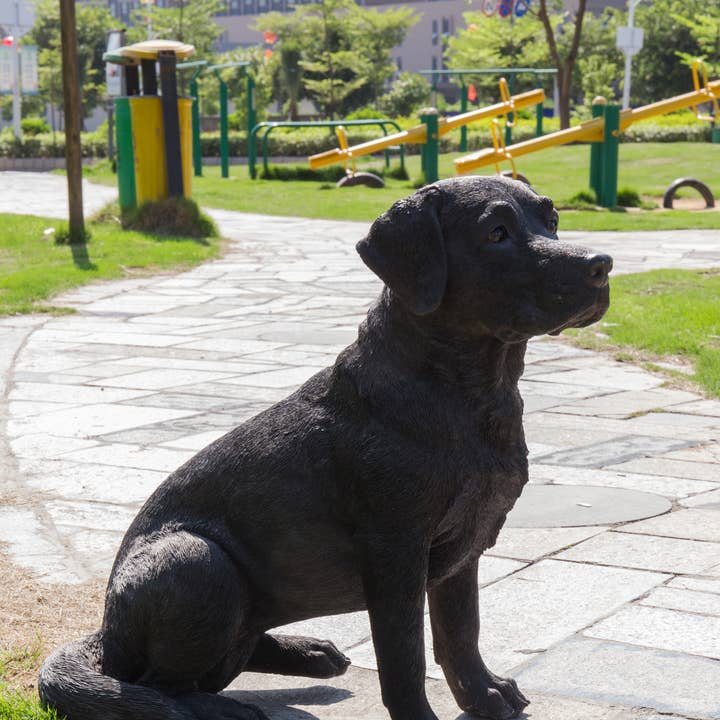 Nobile Labrador nero seduto per la vendita all'ingrosso da parte di Hi-Line Gift Ltd.