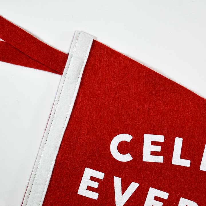Oxford Pennant - Wholesale Flag - Celebrate Everything Pennant1