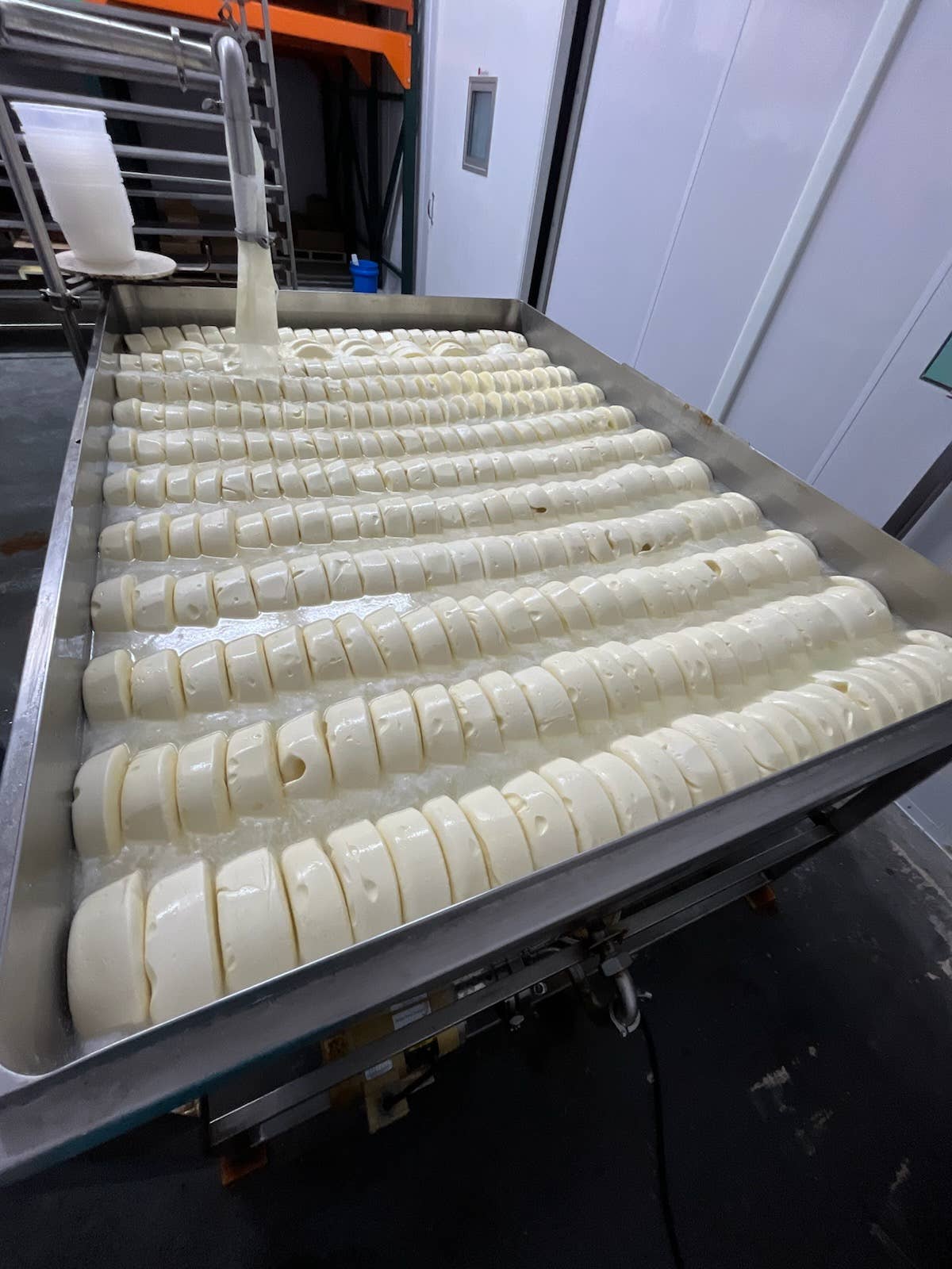 Kasemeister Creamery – Großhandel Käse – Sulguni1