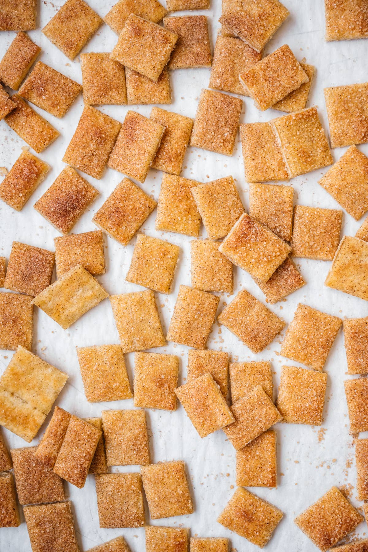 Great Lakes Pot Pies - Vente Chips - Croustilles à tarte au sucre à la cannelle 5,5 oz4