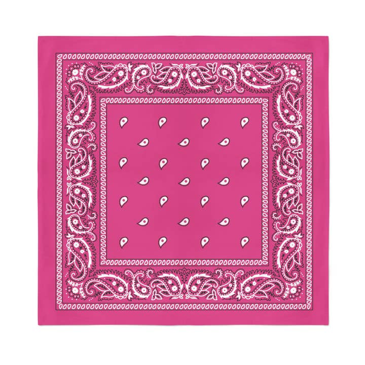 Auction Clearance - Wholesale Bandana - Unisex - 24 Pack Cotton Bandanas Paisley - 22 Inches9