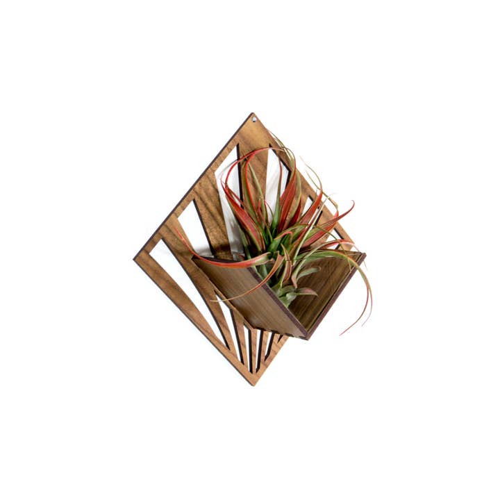 LIGHT RAZOR DESIGN STUDIO - Wholesale Wall planter - Air Plant Holder / Quadrate Wall Hanging Planter 211