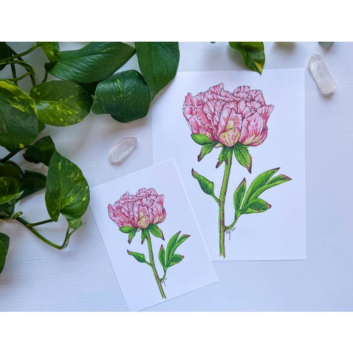 Impressão de arte botânica de arquivo - flor de peônia por atacado de AEJ.CREATE