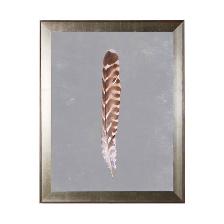 Brown And White Striped Feather for wholesale by Antique Curiosities Inc