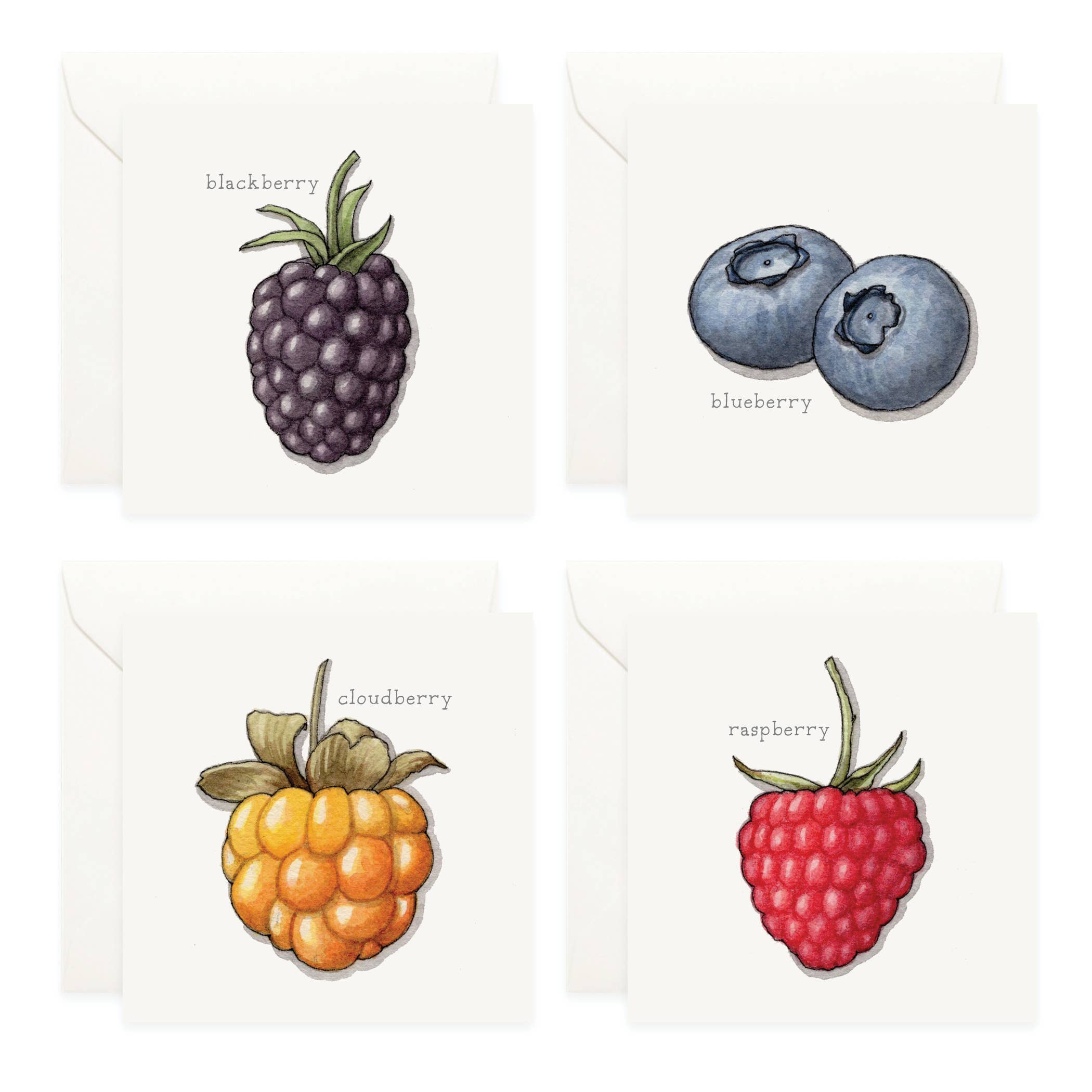 Yeesan Loh - Wholesale Stationery/Notecard Set - Mini Cards Set / Fruit . Berries1