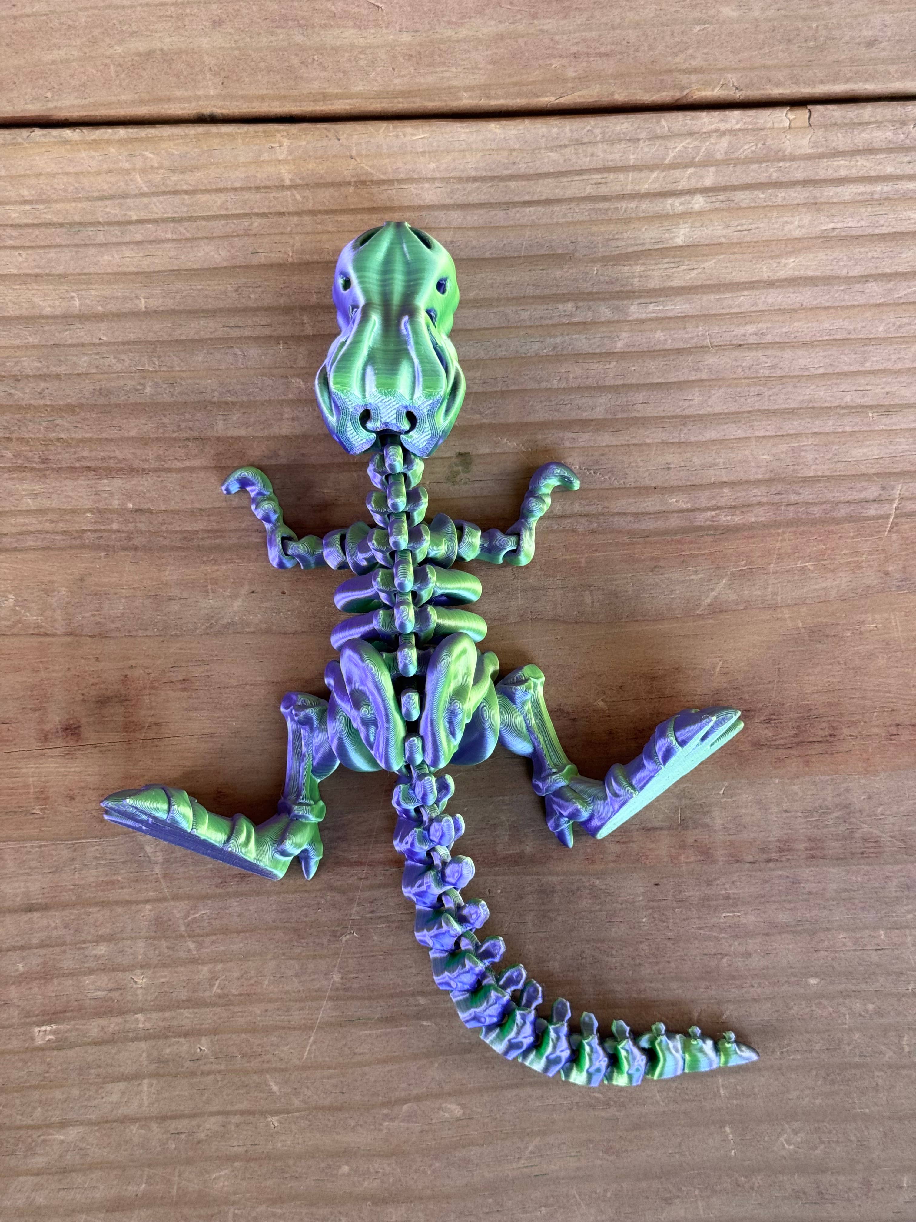 LNZ Custom Design – Brinquedo Fidget - Crianças por atacado – Esqueleto de Tyrannosaurus Rex impresso em 3D3