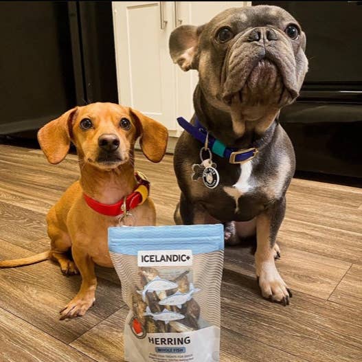 Icelandic+ - Vente Friandises – chien - Friandises pour chiens au hareng entier3