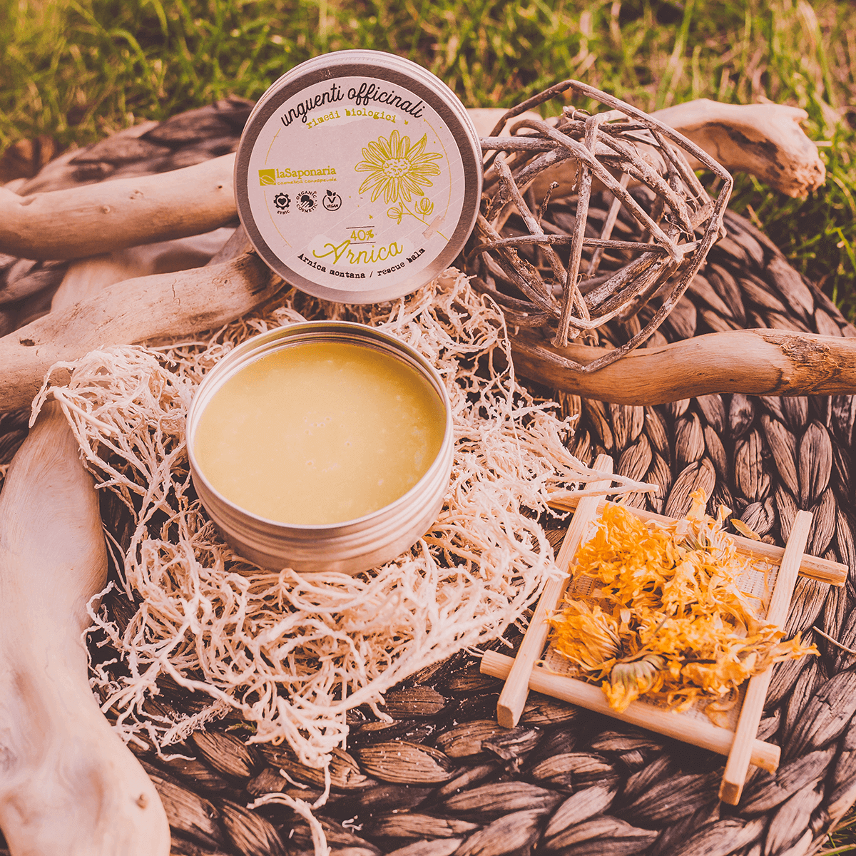 La Saponaria - Wholesale Healing Salve/Balm/Cream - Arnica Ointment 40% (50 ml)1